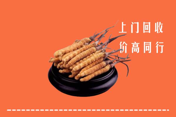 高价求购：襄阳樊城区回收散虫草