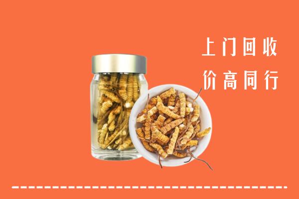 收购行情：襄阳樊城区回收冬虫夏草